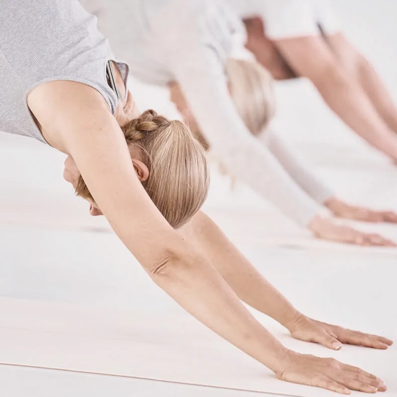 Hatha yoga